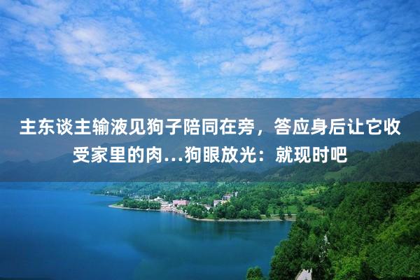 主东谈主输液见狗子陪同在旁，答应身后让它收受家里的肉…狗眼放光：就现时吧