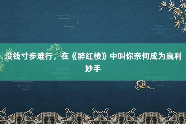 没钱寸步难行，在《醉红楼》中叫你奈何成为赢利妙手