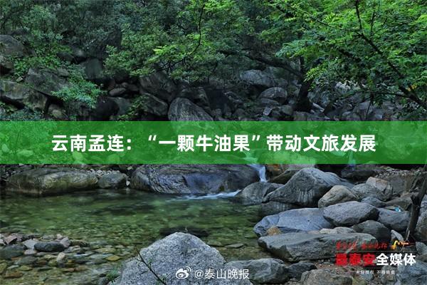 云南孟连：“一颗牛油果”带动文旅发展