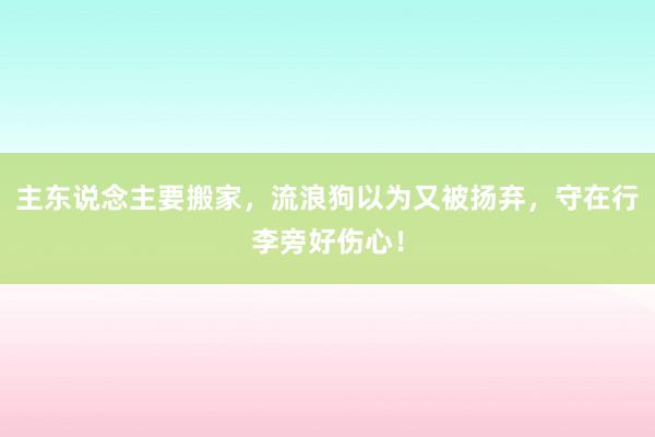 主东说念主要搬家，流浪狗以为又被扬弃，守在行李旁好伤心！