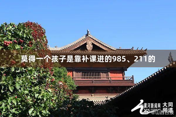 莫得一个孩子是靠补课进的985、211的