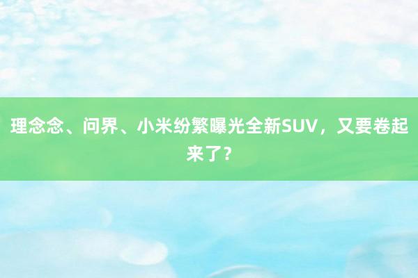 理念念、问界、小米纷繁曝光全新SUV，又要卷起来了？