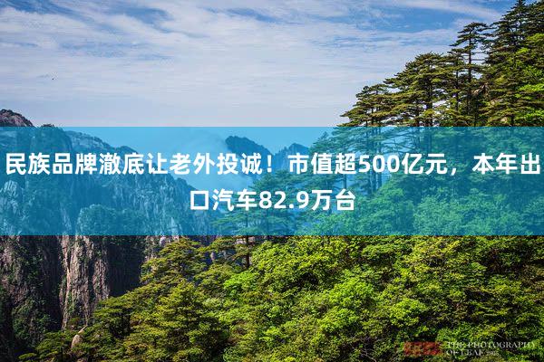 民族品牌澈底让老外投诚！市值超500亿元，本年出口汽车82.9万台