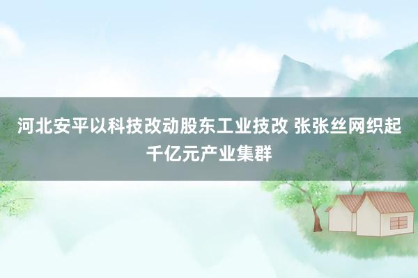 河北安平以科技改动股东工业技改 张张丝网织起千亿元产业集群