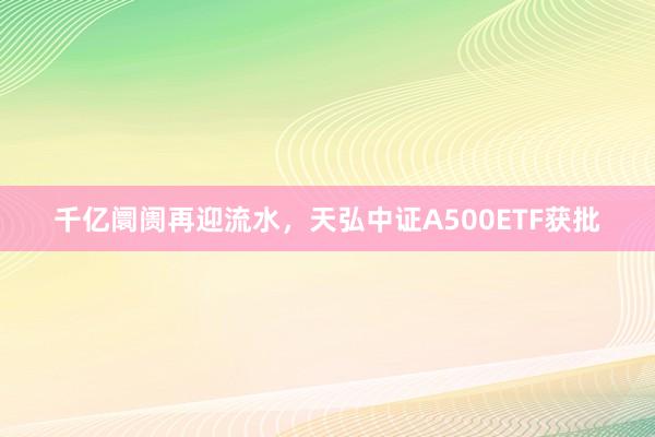 千亿阛阓再迎流水，天弘中证A500ETF获批