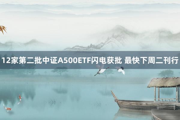 12家第二批中证A500ETF闪电获批 最快下周二刊行