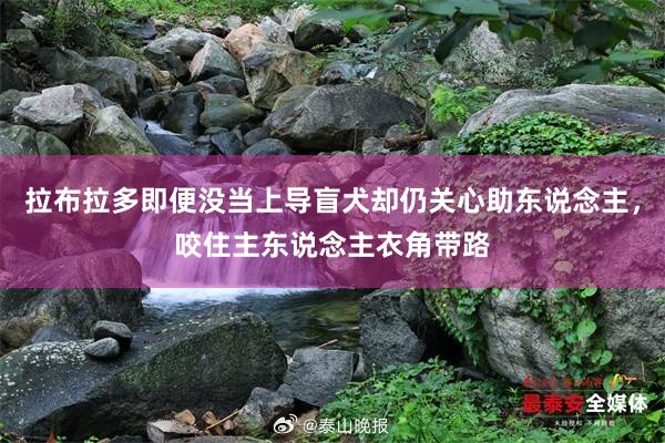 拉布拉多即便没当上导盲犬却仍关心助东说念主，咬住主东说念主衣角带路